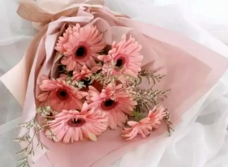 Chiêm ngưỡng cận cảnh bó hoa đồng tiền, từng cánh hoa tỏa sáng như nắng mai rực rỡ.