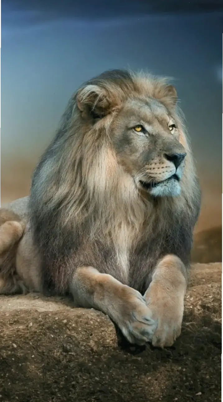 Chiêm ngưỡng hình nền hổ dữ dằn, biểu tượng sức mạnh và bí ẩn, biến màn hình điện thoại thành bức tranh sống động.