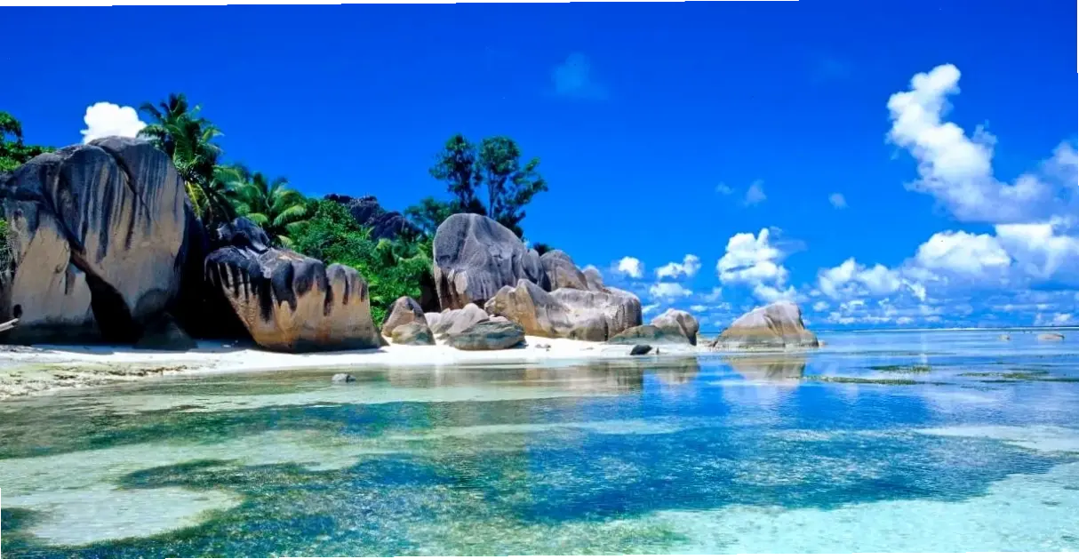 Chiêm ngưỡng vẻ oai vệ của cá voi qua hình nền 4K, biểu tượng của đại dương bao la và mạnh mẽ.