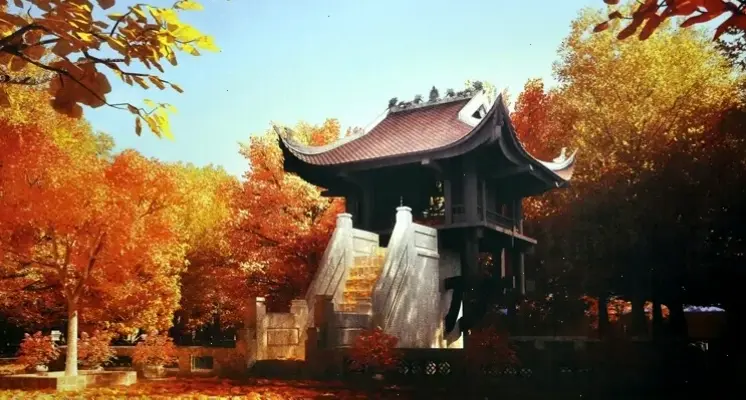 Chùa Một Cột qua góc nhìn nghệ thuật, khám phá vẻ đẹp tinh tế và lịch sử văn hóa Việt Nam.