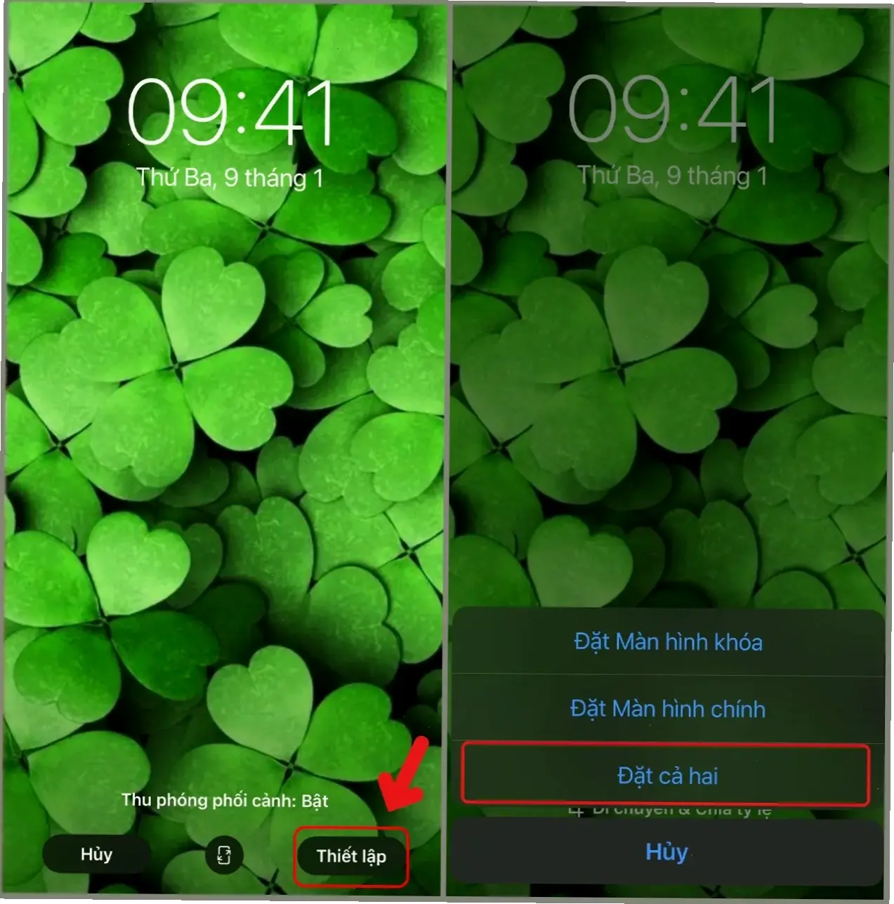 Dành cho điện thoại: Hình nền cỏ 3 lá đẹp mắt, làm mới giao diện hàng ngày một cách dễ dàng.