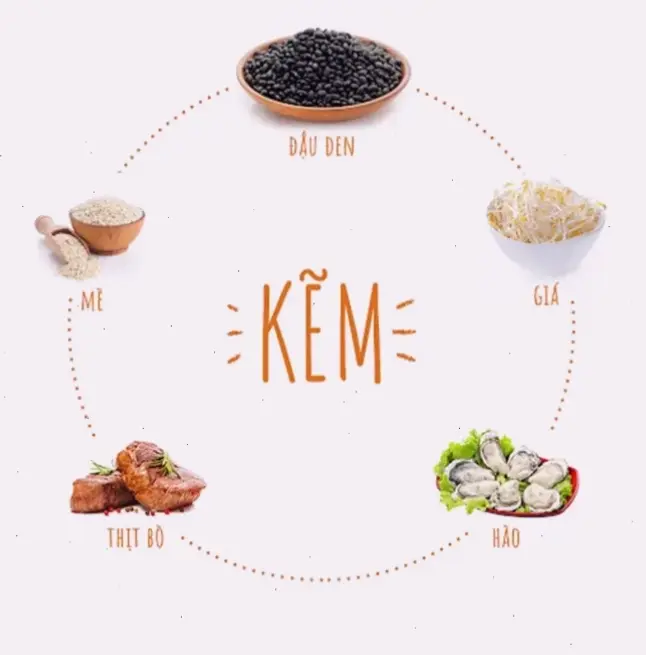 Danh sách thực phẩm giàu kẽm