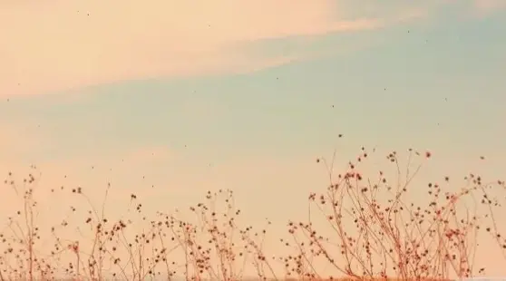 Đổi hình nền bàn phím dễ dàng để làm mới không gian làm việc và giải trí.