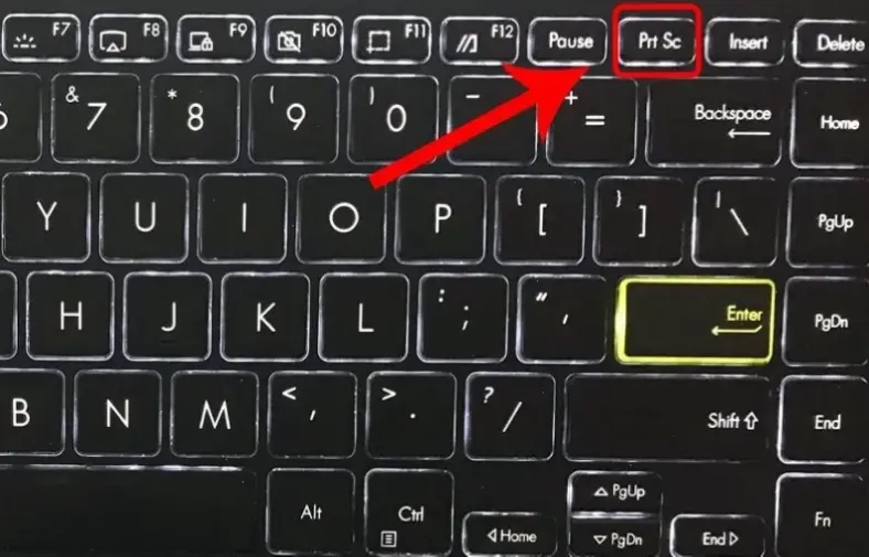 Giới Thiệu Về Cách Chụp Ảnh Cơ Bản Trên Laptop
