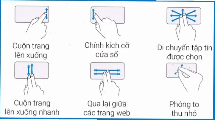 Giới thiệu về chuột trên laptop