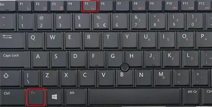 Hiểu Về Chuột Trên Laptop Dell