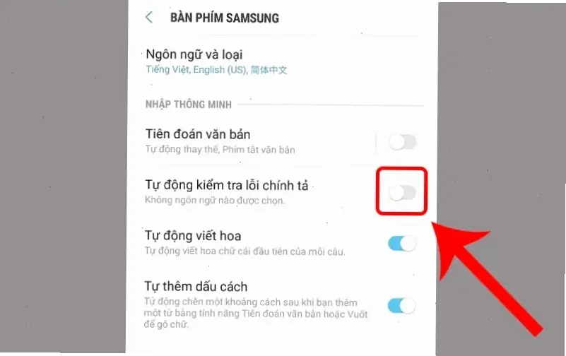 Hiểu Về Tính Năng Sửa Lỗi Chính Tả Trên Android