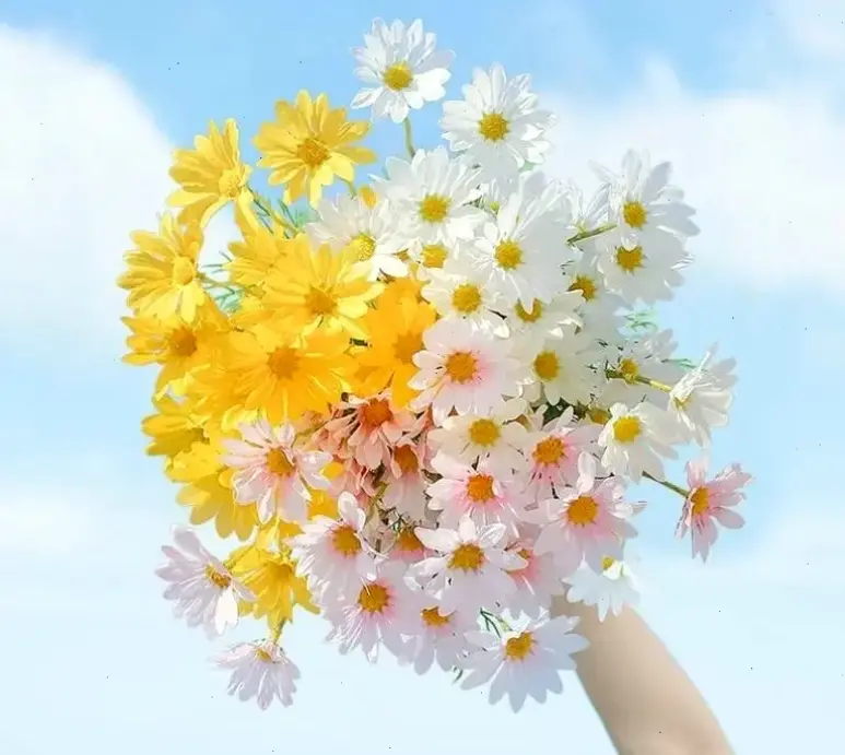 Hình ảnh hoa cúc họa mi lãng mạn cho 8/3, khơi dậy cảm xúc yêu đương và hạnh phúc.