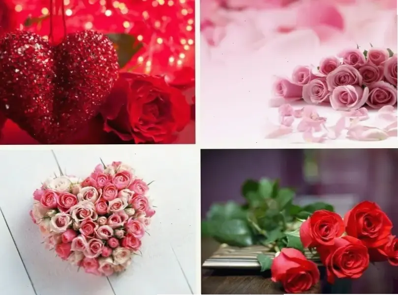 Hình ảnh hoa hồng lãng mạn cho đám cưới, khơi dậy tình yêu vĩnh cửu và kỷ niệm đáng nhớ.