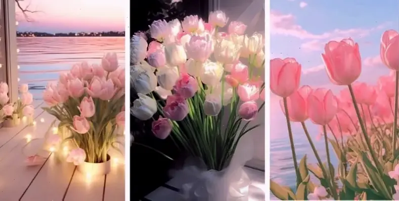 Hình ảnh hoa tulip lãng mạn Valentine, khơi dậy cảm xúc yêu đương ngọt ngào và ấm áp.