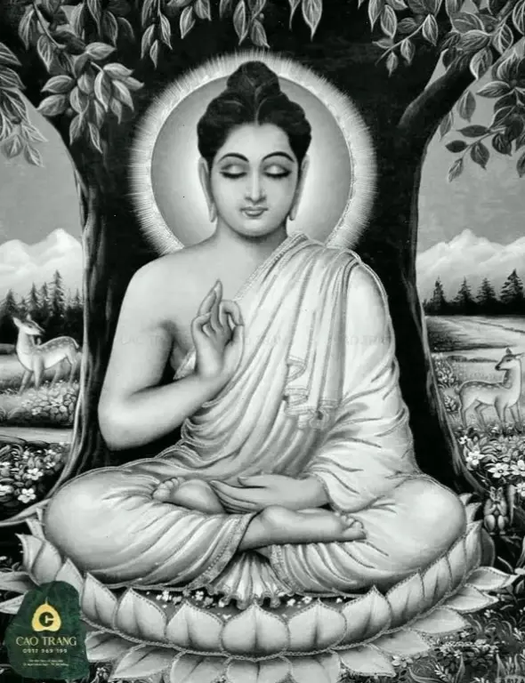 Hình ảnh Phật Thích Ca mang lại sự bình an vô bờ, xua tan lo lắng và giúp bạn sống trọn vẹn với niềm vui giản dị.