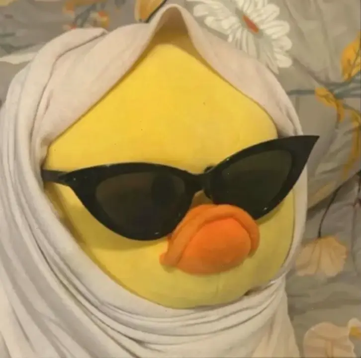 Avatar vịt vô tri cute: Niềm vui bất tận với nụ cười ngây thơ, mang lại cảm hứng tươi mới mỗi ngày!