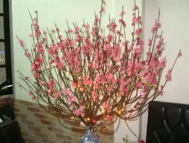 Hình hoa đào lãng mạn cắm bình, lý tưởng để trang trí và tạo không gian thơ mộng.