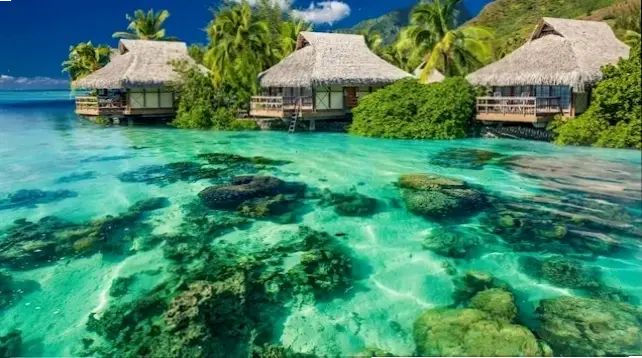 Hình nền biển xanh Caribbean quyến rũ, biến màn hình bạn thành bãi biển nhiệt đới mơ ước đầy sức sống.