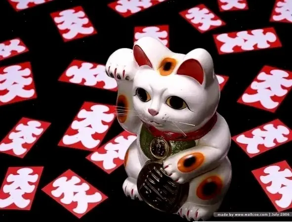 Hình nền cặp mèo tình cảm, ấm áp và dễ thương!