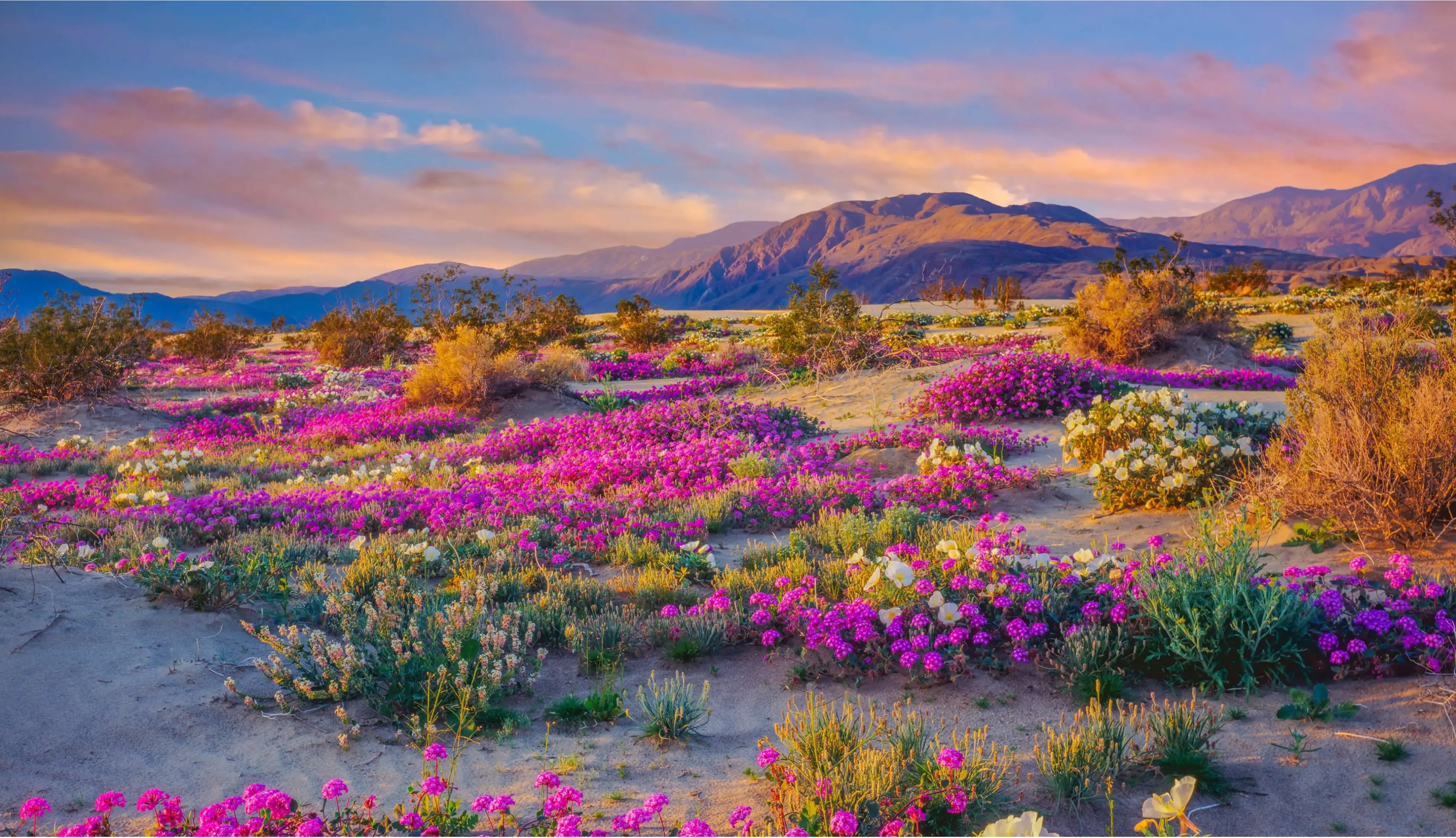 Hình nền cát sa mạc mịn màng, mang đến cảm giác gần gũi và hấp dẫn với vẻ đẹp tự nhiên của cát.