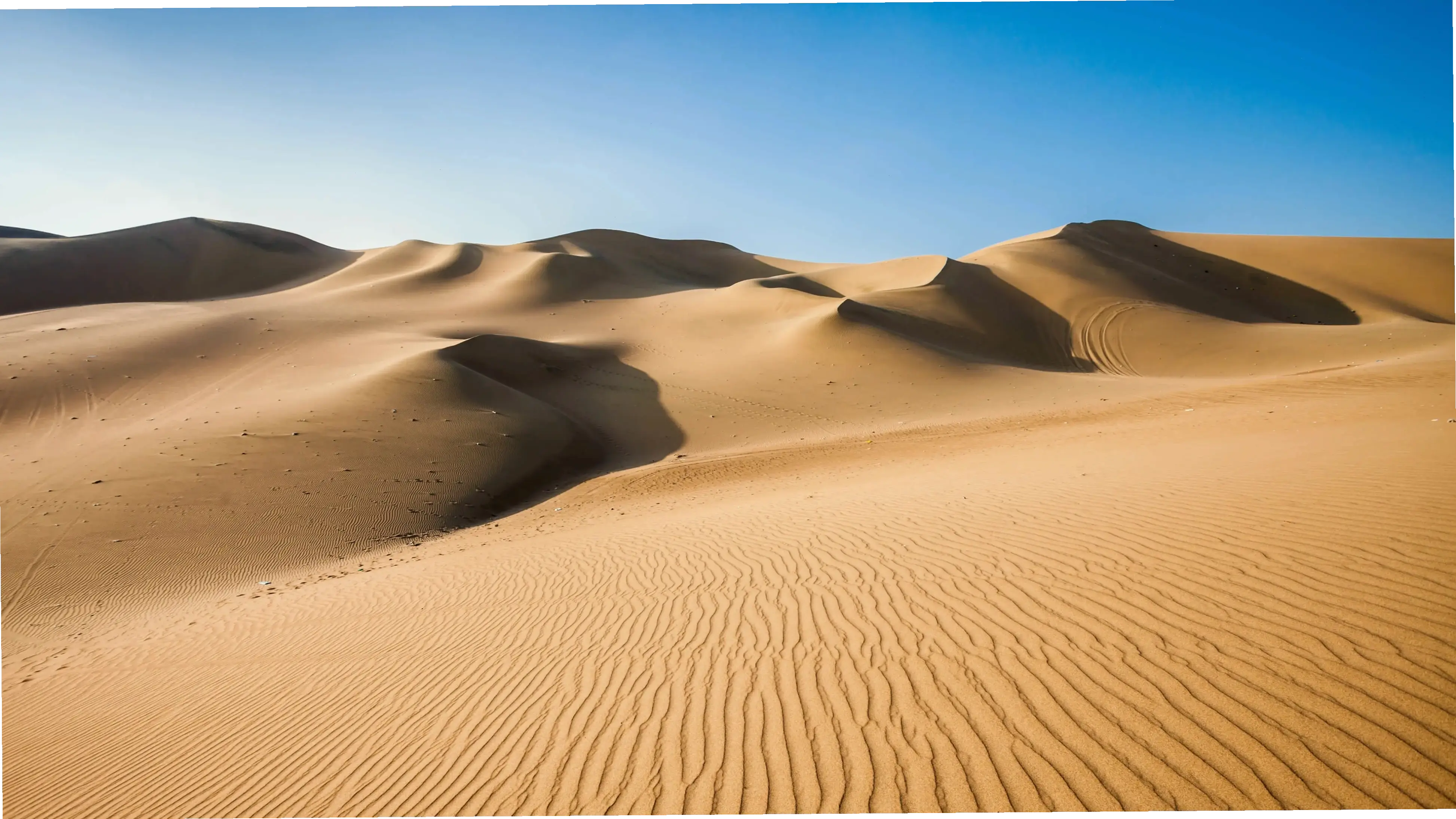 Hình nền cồn cát hùng vĩ, mang đến không gian sa mạc rộng lớn và ấn tượng cho màn hình của bạn.