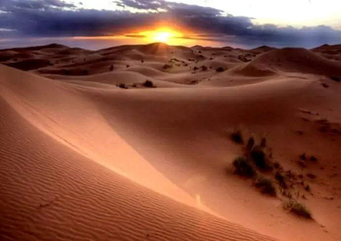 Hình nền cồn cát Sahara ấn tượng, tái hiện vẻ hoang sơ mê hoặc của sa mạc vàng óng.