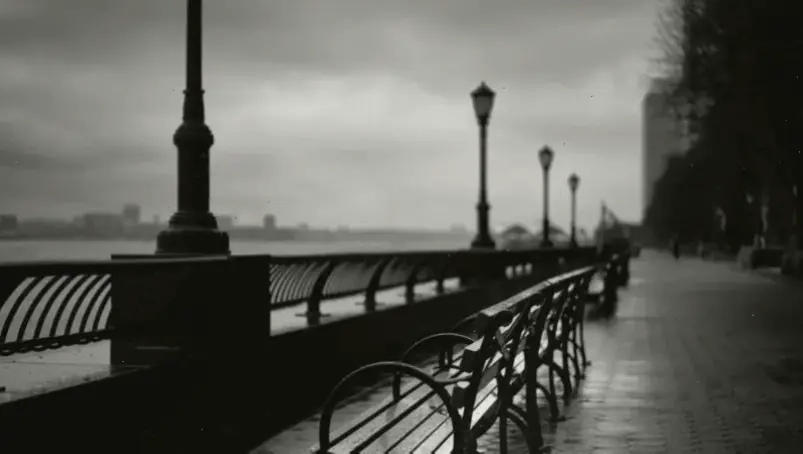 Hình nền đen trắng đẹp dành riêng cho iPhone, làm nổi bật thiết bị của bạn.