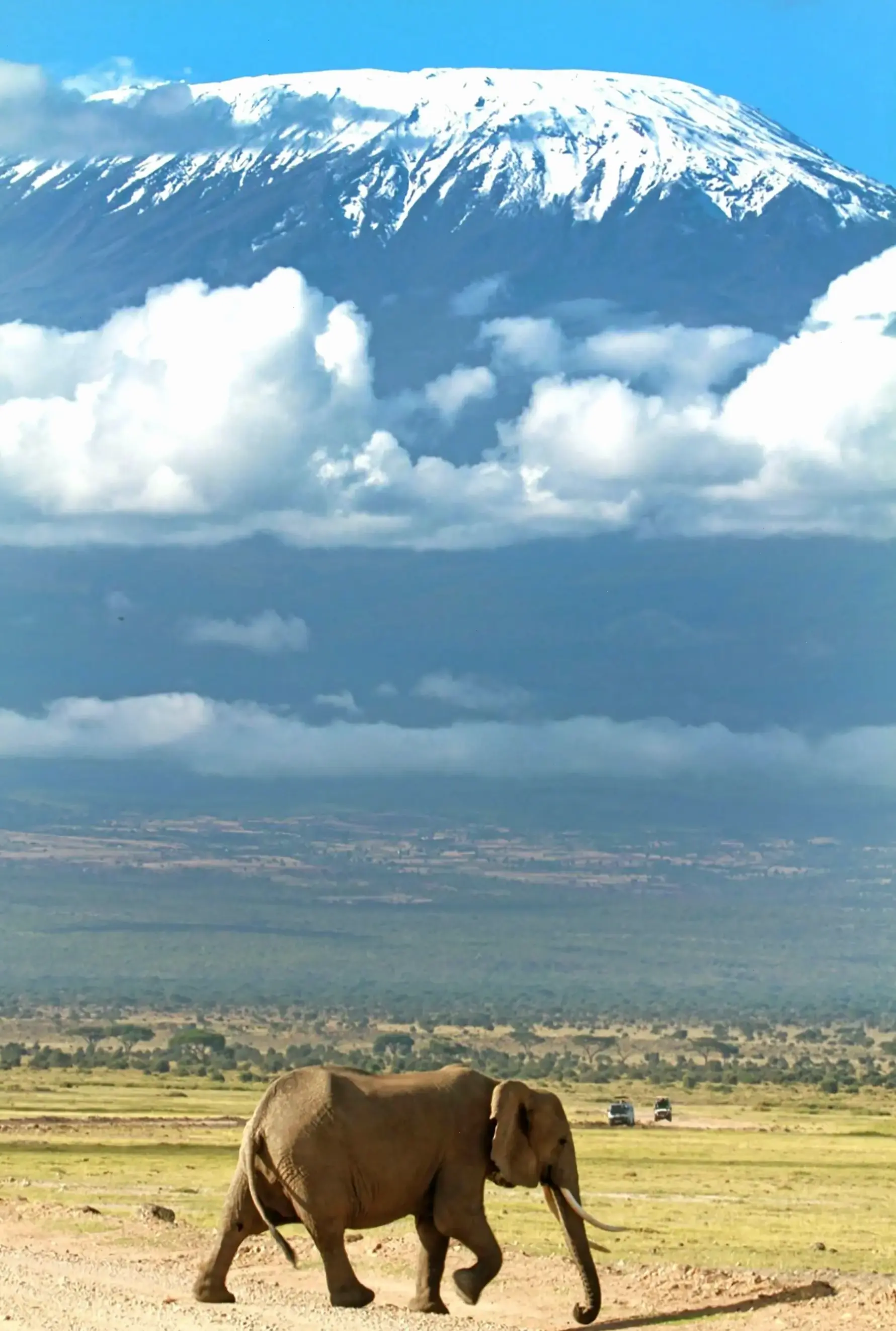 Hình nền Kilimanjaro 4K chất lượng cao, mang đỉnh núi huyền thoại đến màn hình desktop của bạn.