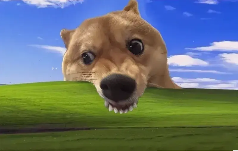 Hình nền máy tính chó con ngộ nghĩnh, biến desktop thành góc nhỏ đầy niềm vui và thư giãn!