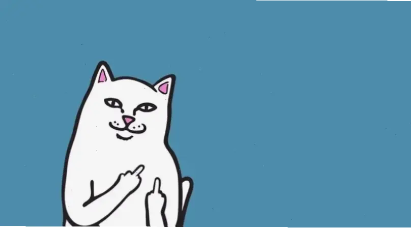 Hình nền máy tính mèo cute đáng yêu, làm mới desktop với hình ảnh mèo dễ thương, giúp bạn làm việc hiệu quả hơn mỗi ngày!