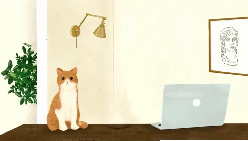 Hình nền mèo con đáng yêu, như có thú cưng bên cạnh!