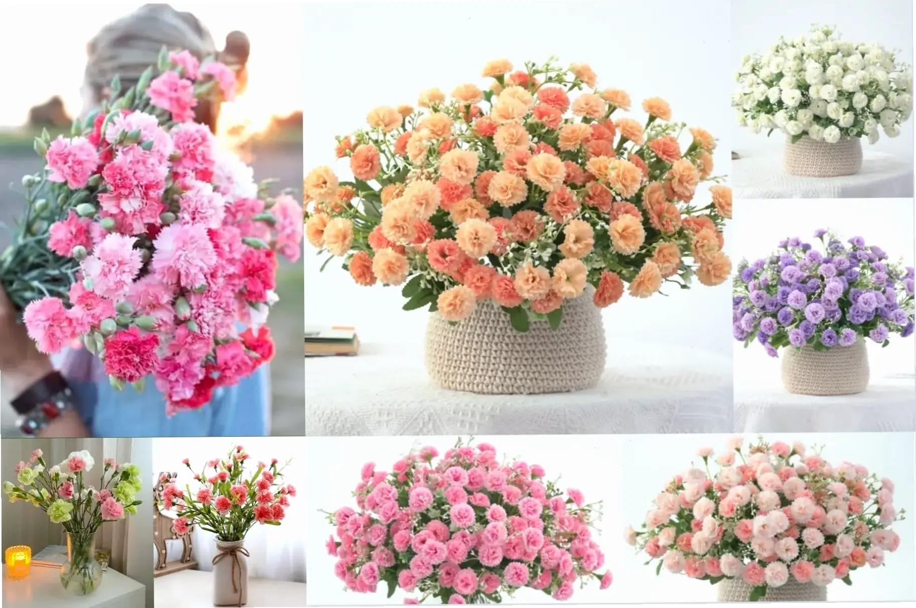 Hoa cẩm tú cầu cắm bình đang nở rộ, trang trí nhà cửa thêm phần tươi tắn và sống động.