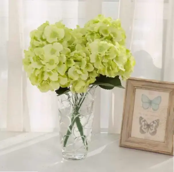 Hoa cẩm tú cầu cắm bình đơn giản, biến không gian sống thành khu vườn thơ mộng và đầy sức sống.