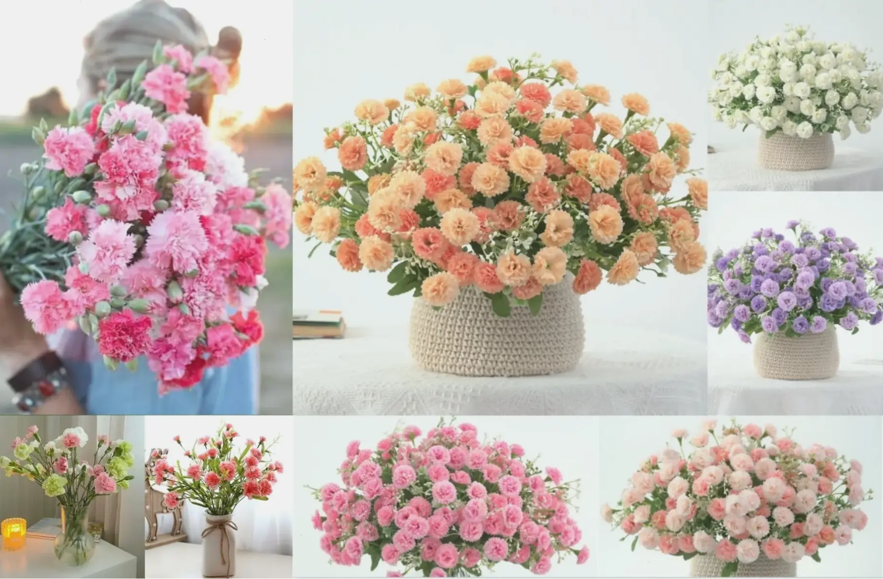 Hoa cẩm tú cầu cắm bình, mang vẻ đẹp tự nhiên vào không gian sống của bạn.