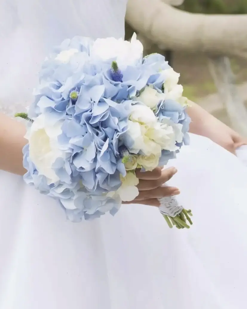 Hoa cẩm tú cầu làm nổi bật tiệc cưới, tượng trưng cho tình yêu vĩnh cửu và hạnh phúc.