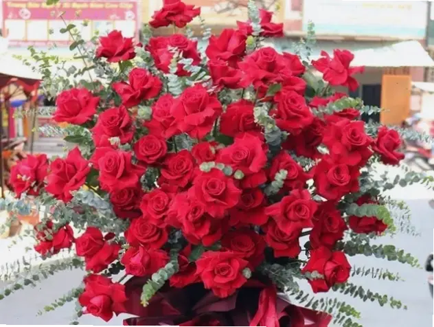 Hoa cát tường nở rực rỡ trong 7-10 ngày, hãy chăm sóc để kéo dài vẻ đẹp trước khi tàn dần.