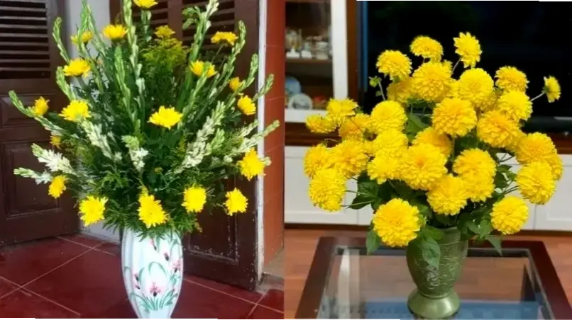 Hoa cúc cắm bình đẹp mang sức sống tươi mới, với màu sắc rực rỡ và hình dáng duyên dáng, làm nổi bật không gian.