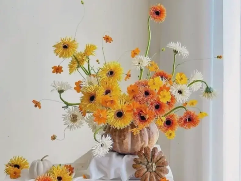 Hoa cúc gửi tặng thầy cô ngày 20/11, cận cảnh thể hiện lòng biết ơn sâu sắc và tình cảm chân thành.