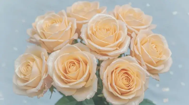 Hoa đào hồng phấn bó hoa dịu dàng, tô điểm không gian sống với sắc màu lãng mạn và tươi mới.