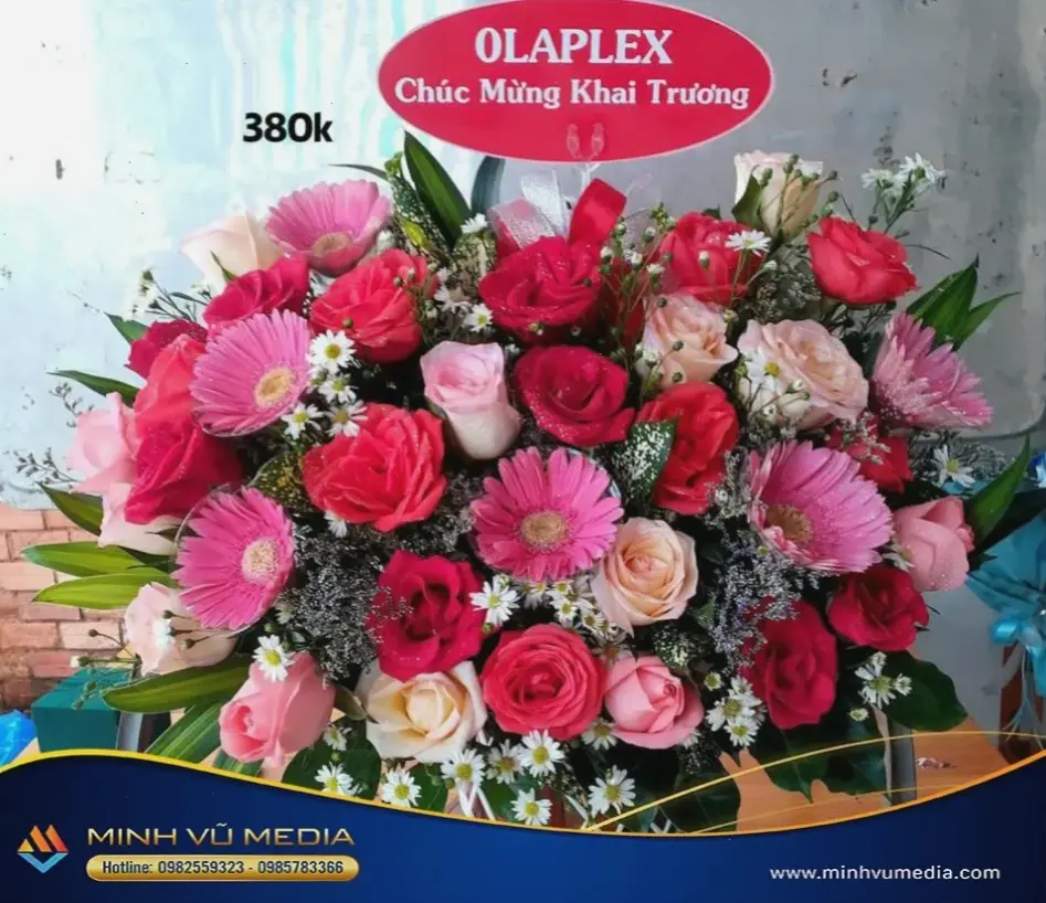 Hoa đồng tiền cắm bình trang trí khai trương, tạo không gian ấm áp và mang năng lượng tích cực tuyệt vời!