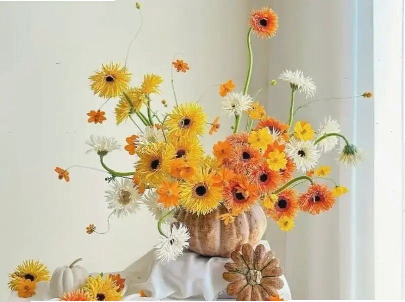 Hoa đồng tiền cắm bình trang trí sinh nhật, tạo không gian rạng rỡ và đầy năng lượng!