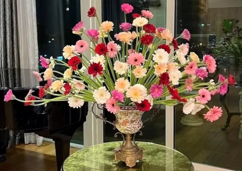 Hoa đồng tiền cắm bình trang trí, thêm nét duyên dáng và lãng mạn cho không gian tiệc cưới.