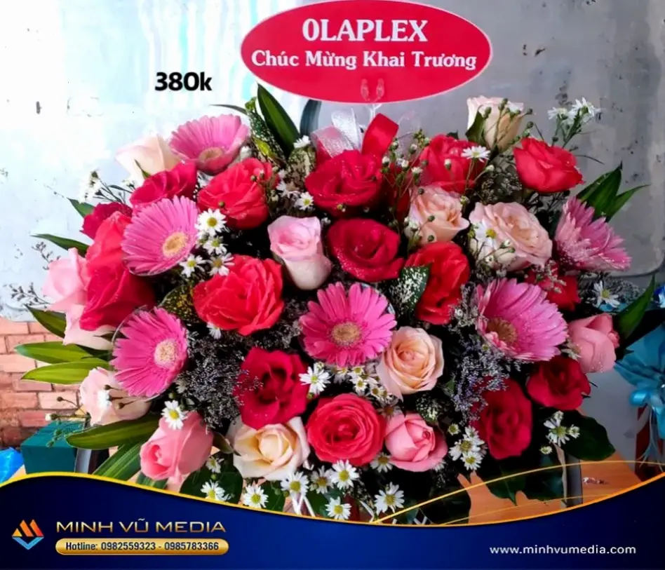 Hoa đồng tiền chúc mừng ngày cưới, biểu tượng may mắn và hạnh phúc viên mãn cho cuộc sống mới.