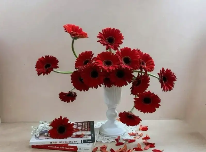 Hoa đồng tiền trang trí sự kiện, tạo không gian sang trọng và ấn tượng, nâng tầm mọi buổi lễ đặc biệt!