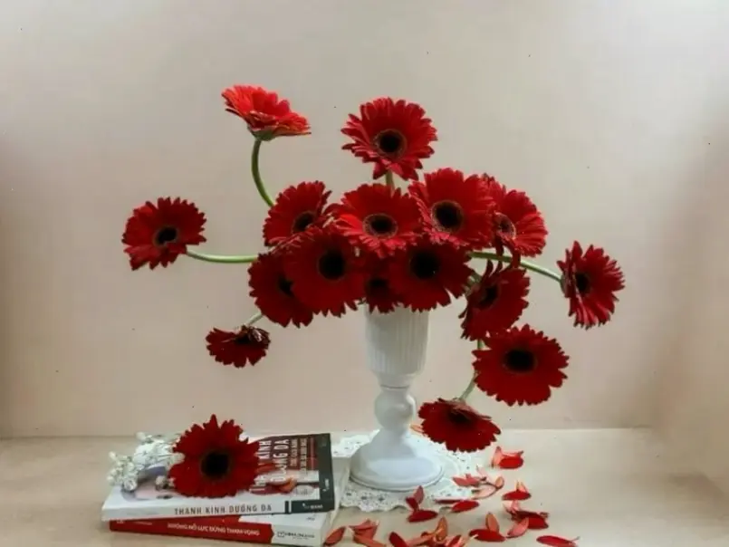 Hoa đồng tiền trang trí tiệc cưới, tạo không gian ấm áp và đầy màu sắc cho sự kiện đáng nhớ.