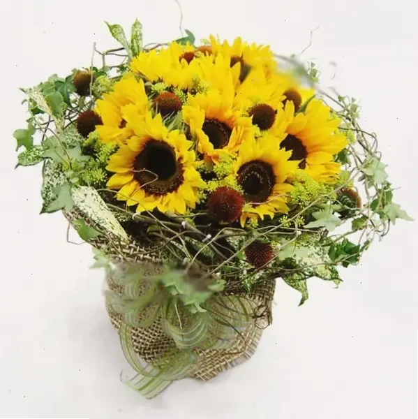 Hoa hướng dương rực rỡ cho ngày sinh nhật, chúc bạn một năm mới tràn đầy năng lượng và niềm vui.