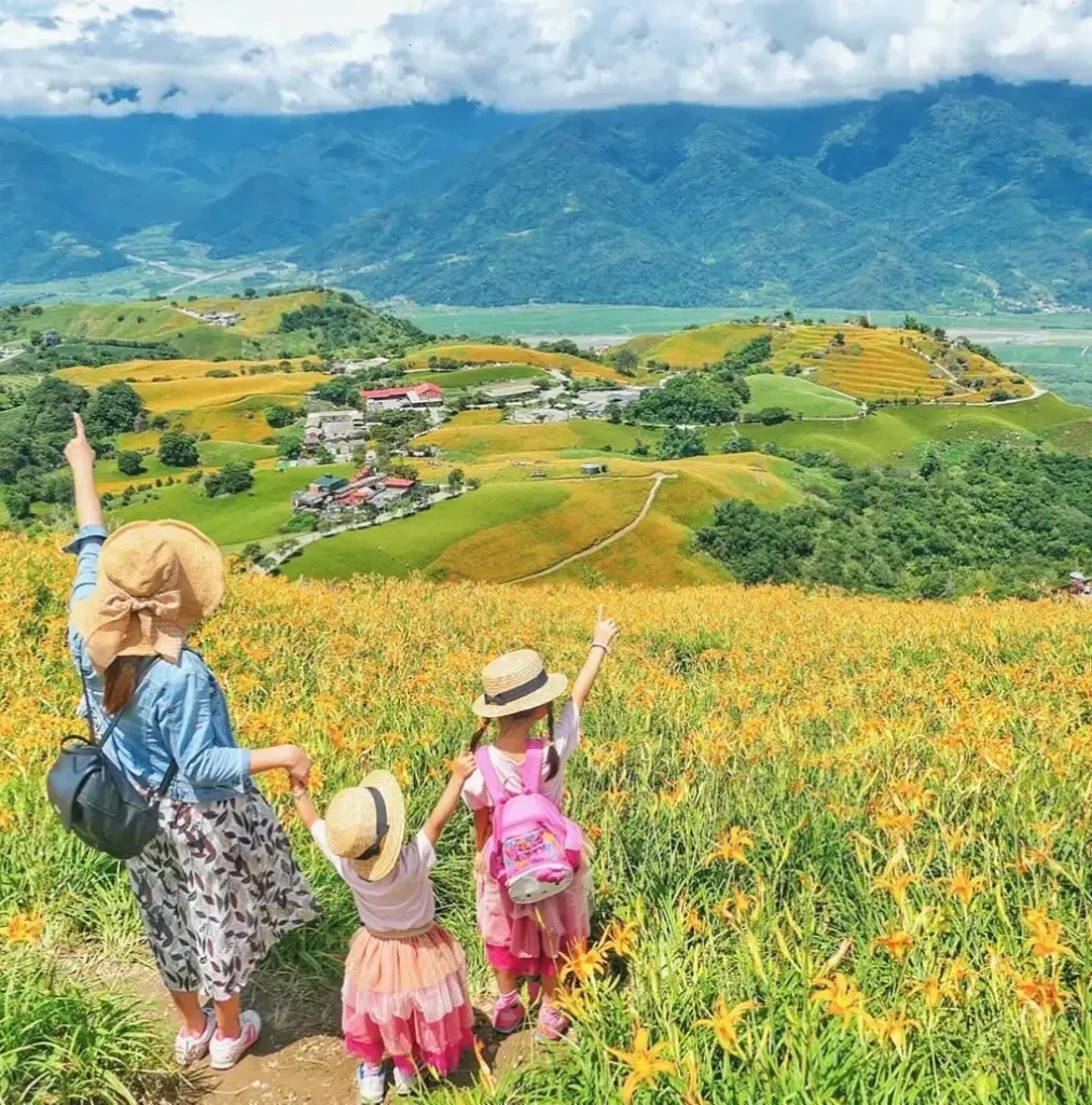 Hoa kim châm giữa đồng quê, gợi lên sự giản dị và hoài niệm của cuộc sống nông thôn.