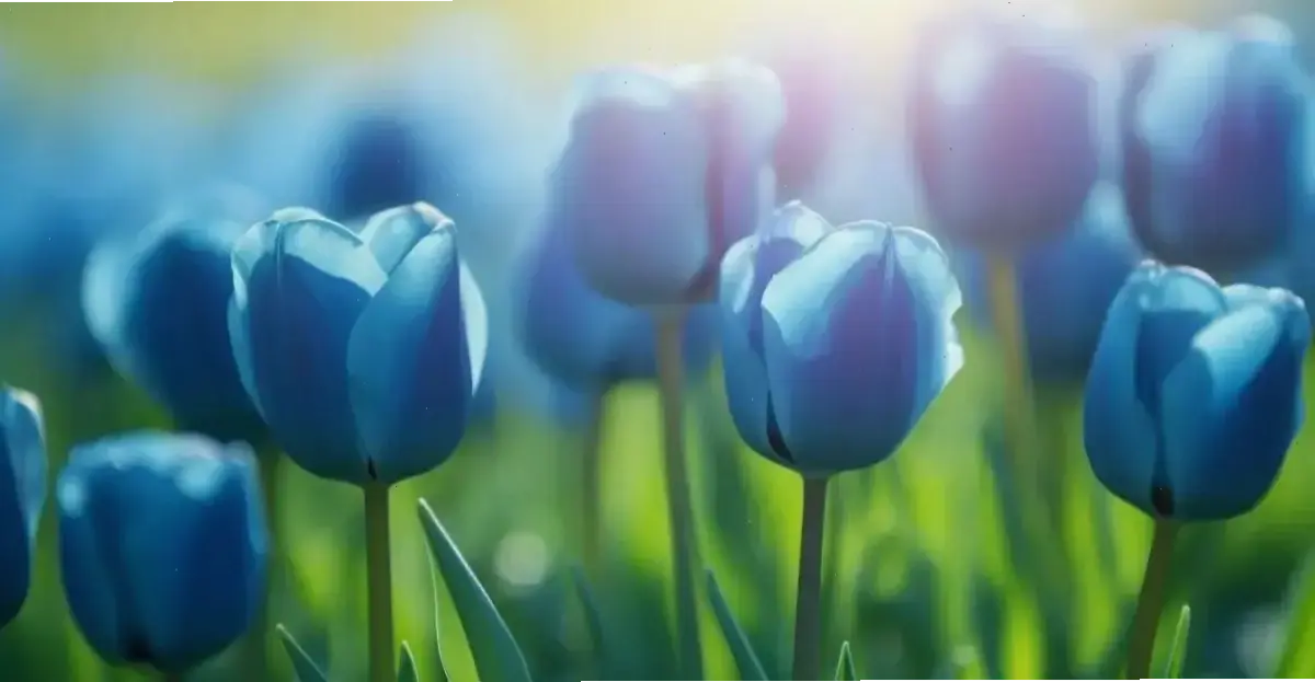 Hoa kim đồng trên ban công tạo góc xanh thư giãn, giúp bạn tận hưởng sự yên bình sau những ngày làm việc bận rộn.