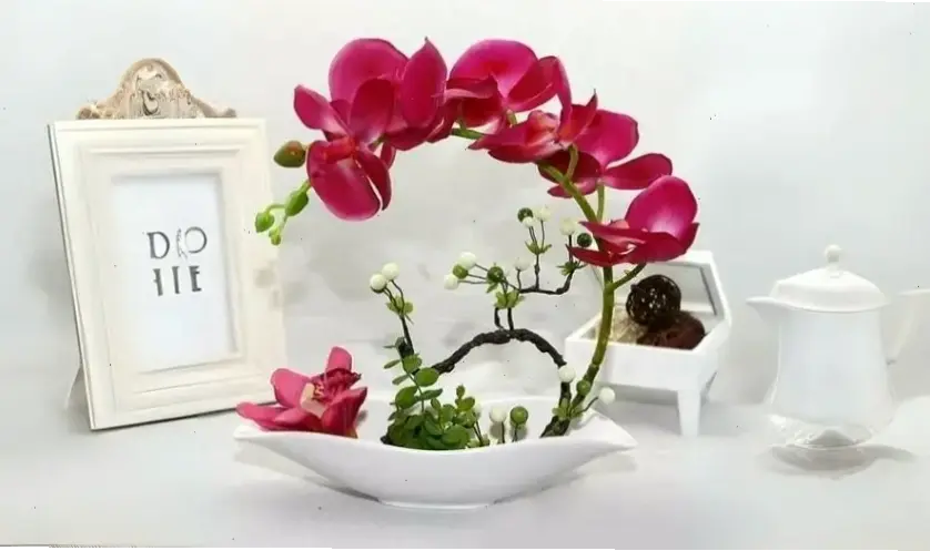 Hoa lan cắm bình thanh lịch, mang lời chúc mừng ấm áp đến không gian sống của bạn.