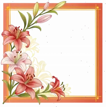 Hoa loa kèn trong ngày cưới, mang ý nghĩa hạnh phúc và tình yêu vĩnh cửu đến lễ đường.