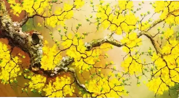 Hoa mai trong phong thủy mang lại may mắn, năng lượng tích cực và sự thịnh vượng cho gia đình bạn.