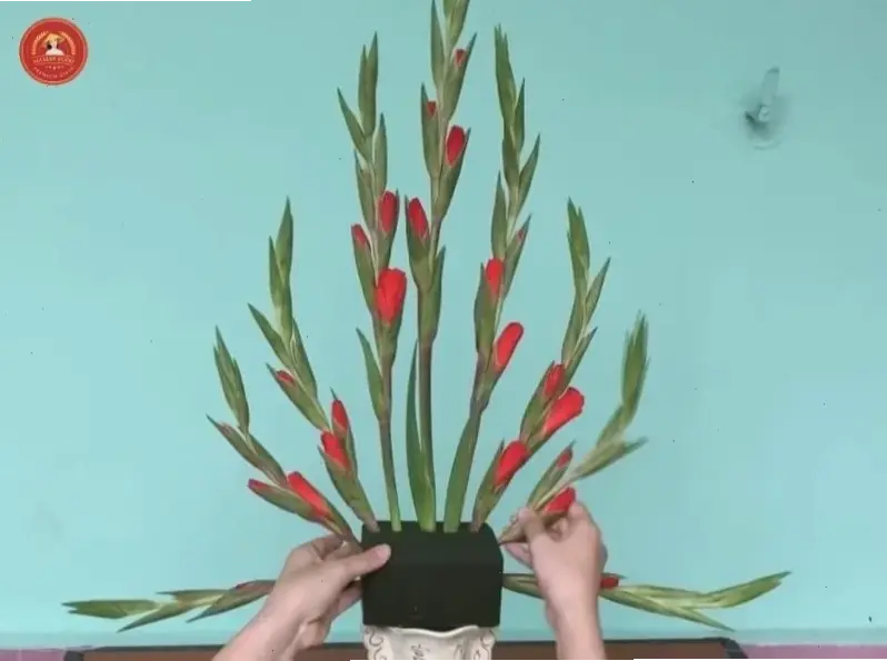 Hòa mình vào mùa hè rực rỡ với hoa lay ơn đầy màu sắc và năng lượng tươi mới.