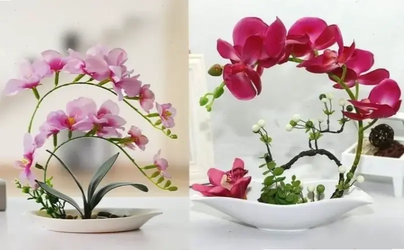 Hoa phong lan cắm bình đơn giản mà tinh tế, biến góc nhỏ thành khu vực trang trí đầy cuốn hút.