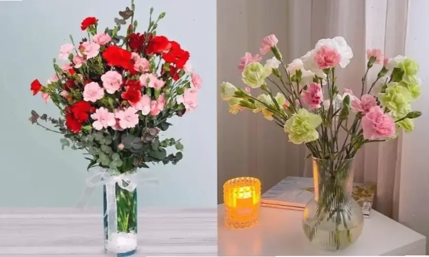 Hoa phượng cắm bình mang vẻ đẹp thiên nhiên tươi mới vào không gian sống hàng ngày.